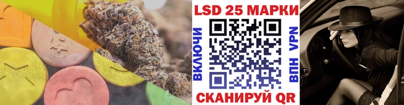 дарнет шоп Большой Камень Лсд 25 экстази кислота